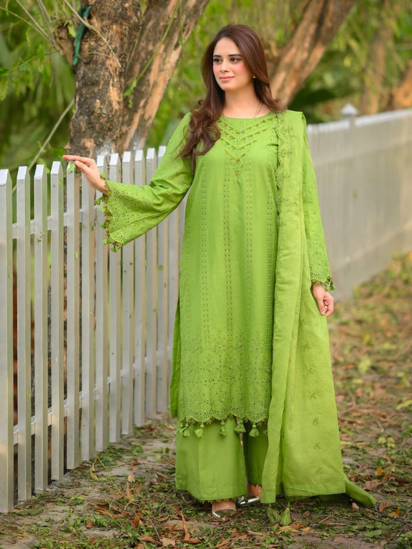 3Pc Unstitched Chikankari Embroidered Lawn Suit (CK033)