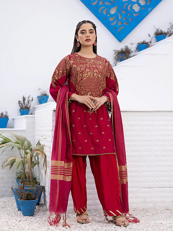 3Pc Stitched Cotton Net Embroidered Suit