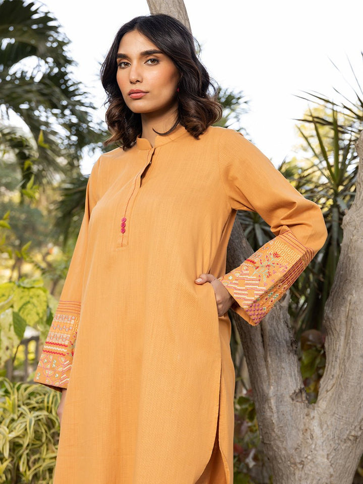 2pc - Solid Embroidered Suit - SalitexOnline