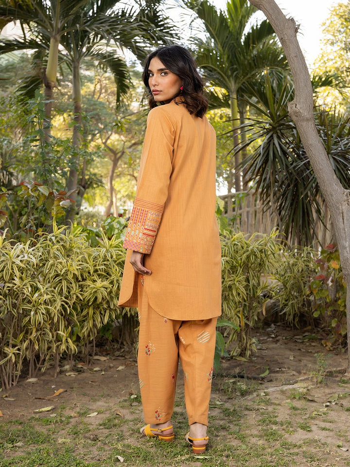 2pc - Solid Embroidered Suit - SalitexOnline