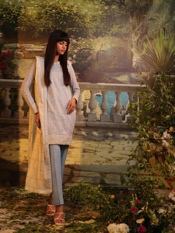 3pc Unstitched Lawn Suit